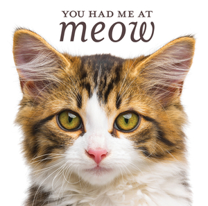 You Had Me at Meow by New Seasons, Publications International Ltd