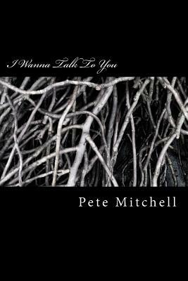 I Wanna Talk To You: Outside the Ordinary by Pete Mitchell