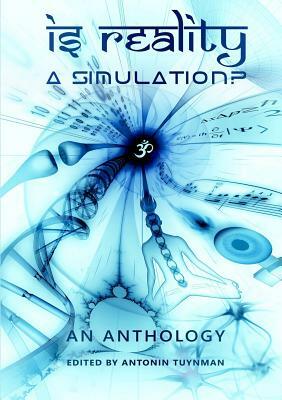 Is Reality a Simulation? by Antonin Tuynman