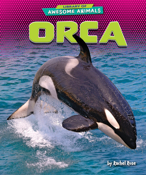 Orca by Rachel Rose