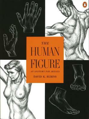 The Human Figure: An Anatomy for Artists by David K. Rubins