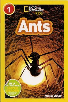 Ants (1 Hardcover/1 CD) by Melissa Stewart