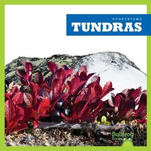 Tundras by Nadia Higgins