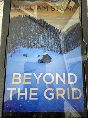 Beyond the Grid by William Stone