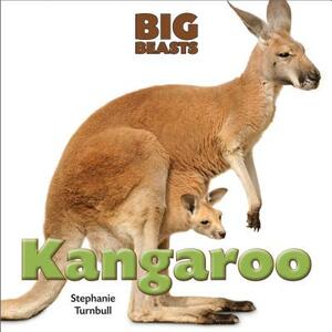 Kangaroo by Stephanie Turnbull