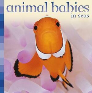 Animal Babies in Seas by Kingfisher Books