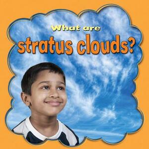 What Are Stratus Clouds? by Lynn Peppas