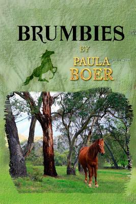 Brumbies by Paula Boer