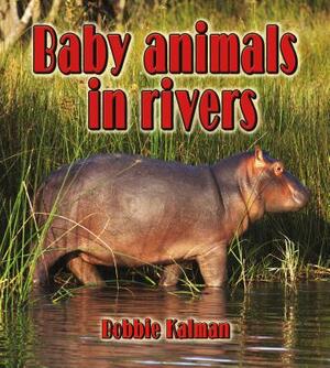 Baby Animals in Rivers by Bobbie Kalman