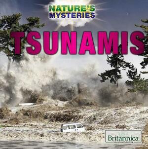 Tsunamis by Daniel E. Harmon