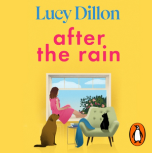 After the Rain by Lucy Dillon