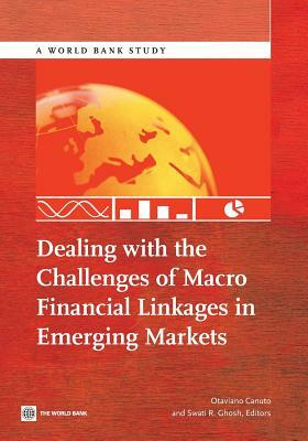 Dealing with the Challenges of Macro Financial Linkages in Emerging Markets by 