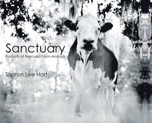 Sanctuary: Portraits of Rescued Farm Animals by Sharon Lee Hart