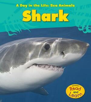 Shark by Louise Spilsbury