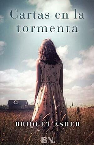 CARTAS EN LA TORMENTA by Bridget Asher