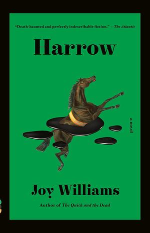 Harrow: A Novel by Joy Williams