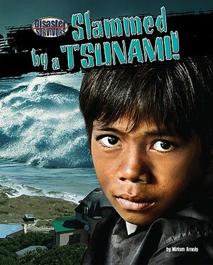 Slammed by a Tsunami! by Miriam Aronin