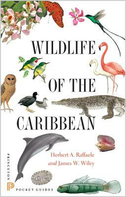 Wildlife of the Caribbean by James Wiley, Herbert A. Raffaele