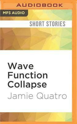 Wave Function Collapse by Jamie Quatro