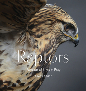 Raptors: Portraits of Birds of Prey (Bird Photography Book) by Traer Scott