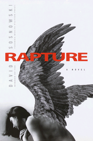 Rapture by David Sosnowski