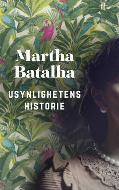 Usynlighetens historie by Martha Batalha