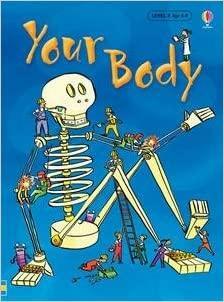 Your Body by Katie Daynes