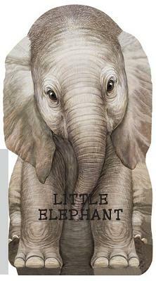 Little Elephant by 