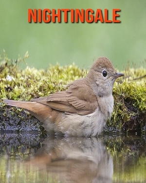 Nightingale: Amazing Facts about Nightingale by Devin Haines
