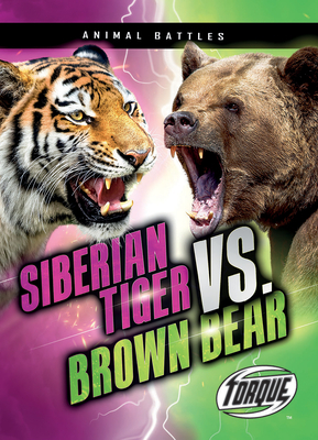 Siberian Tiger vs. Brown Bear by Nathan Sommer