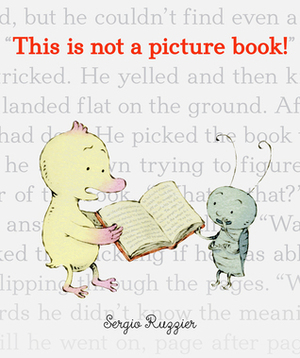 This Is Not a Picture Book! by Sergio Ruzzier