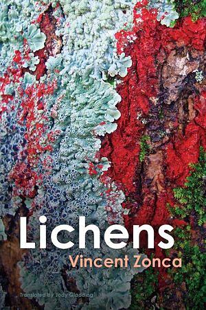 Lichens: Toward a Minimal Resistance by Vincent Zonca