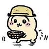 wiseturtlebear's profile picture