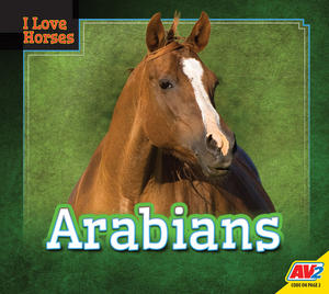 Arabians by Maria Koran