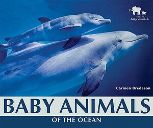 Baby Animals of the Ocean by Carmen Bredeson