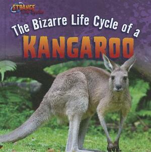 The Bizarre Life Cycle of a Kangaroo by Barbara M. Linde