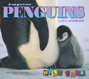 Emperor Penguins by Jill Anderson