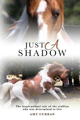 Just A Shadow by Amy Curran