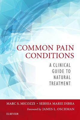 Common Pain Conditions: A Clinical Guide to Natural Treatment by Marc S. Micozzi, Sebhia Dibra