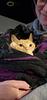janeyboy's profile picture