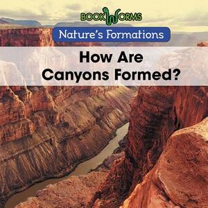 How Are Canyons Formed? by B. J. Best