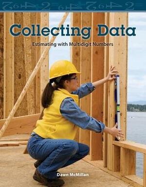 Collecting Data (Level 3) by Dawn McMillan