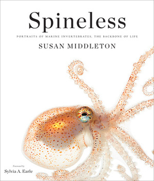 Spineless: Portraits of Marine Invertebrates, the Backbone of Life by Susan Middleton, Sylvia A. Earle