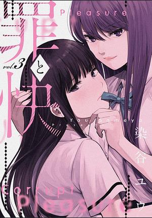 Tsumi to kai, Vol. 3 by You Someya