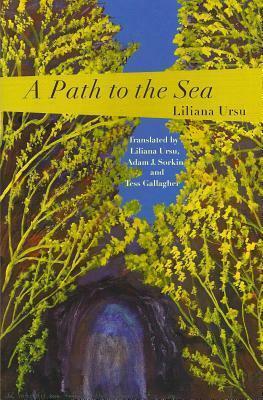 A Path to the Sea by Liliana Ursu