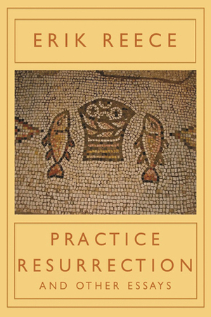Practice Resurrection: And Other Essays by Erik Reece