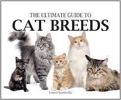 Ultimate Guide to Cat Breeds by Louisa Somerville