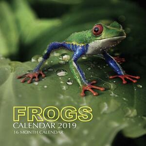 Frogs Calendar 2019: 16 Month Calendar by Mason Landon