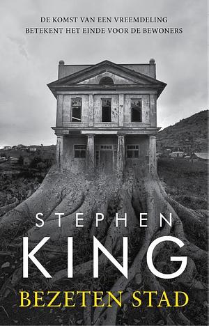 Bezeten stad by Stephen King