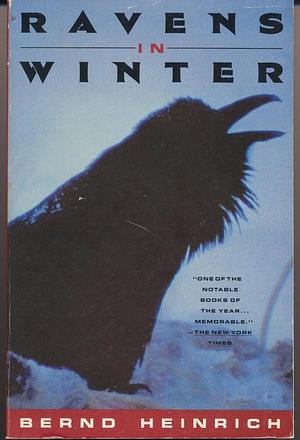 Ravens in Winter by Bernd Heinrich